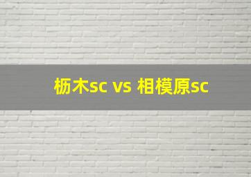 枥木sc vs 相模原sc